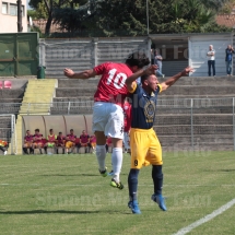 IMG_4221 IMG_4221