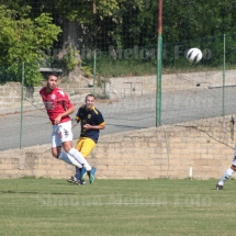 IMG_4225 IMG_4225