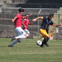 IMG_4226 IMG_4226