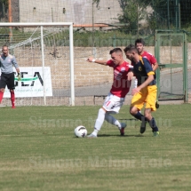 IMG_4228 IMG_4228