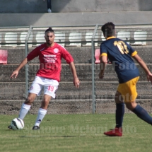IMG_4231 IMG_4231