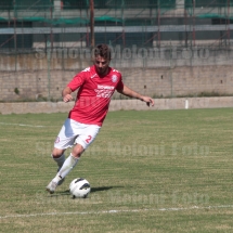 IMG_4233 IMG_4233