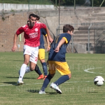 IMG_4234 IMG_4234