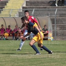 IMG_4235 IMG_4235