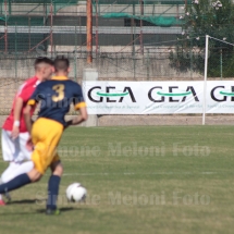 IMG_4238 IMG_4238