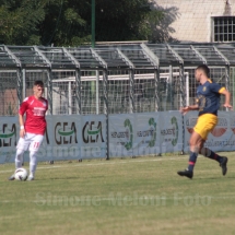 IMG_4241 IMG_4241