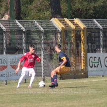IMG_4242 IMG_4242