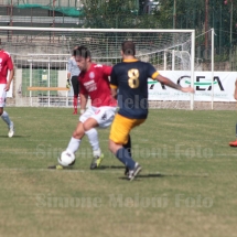 IMG_4245 IMG_4245