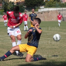 IMG_4251 IMG_4251