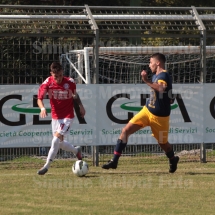 IMG_4255 IMG_4255