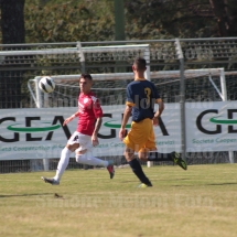 IMG_4262 IMG_4262