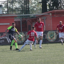 IMG_0031 IMG_0031