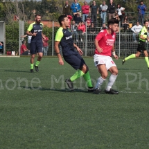 IMG_0041 IMG_0041