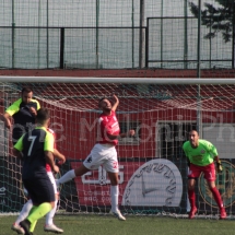 IMG_0046 IMG_0046