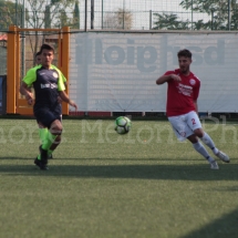 IMG_0051 IMG_0051