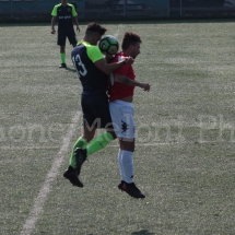 IMG_0082 IMG_0082