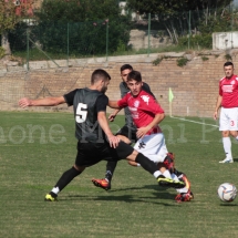 IMG_0407 IMG_0407