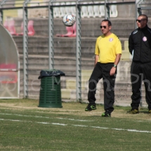 IMG_0437 IMG_0437
