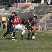 IMG_0438 IMG_0438