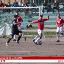 IMG_1117 IMG_1117