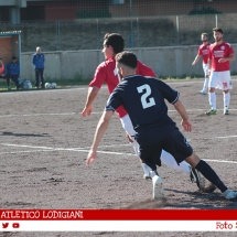 IMG_1131 IMG_1131