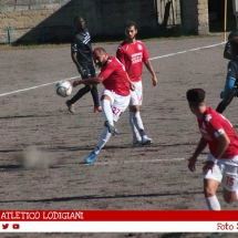 IMG_1246 IMG_1246