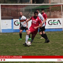 IMG_6906 IMG_6906