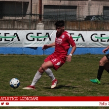 IMG_6951 IMG_6951