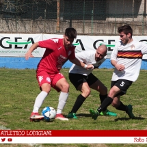 IMG_6952 IMG_6952