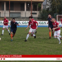 IMG_7162 IMG_7162