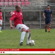 IMG_7231 IMG_7231