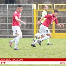 IMG_7232 IMG_7232