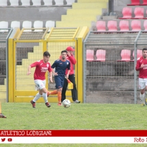 IMG_7238 IMG_7238