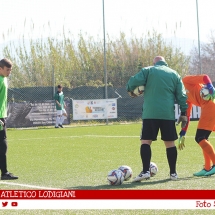 IMG_7490 IMG_7490