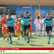 IMG_7491 IMG_7491