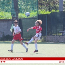 IMG_7491 IMG_7491
