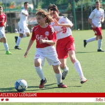 IMG_7493 IMG_7493