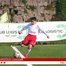 IMG_7494 IMG_7494