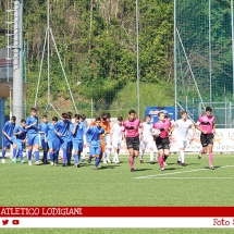 IMG_7495 IMG_7495