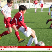 IMG_7496 IMG_7496