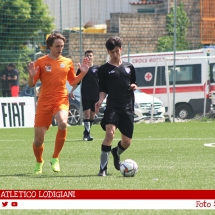 IMG_7501 IMG_7501