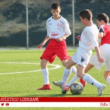 IMG_7502 IMG_7502