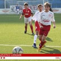 IMG_7503 IMG_7503