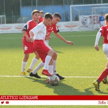 IMG_7504 IMG_7504