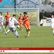 IMG_7504 IMG_7504