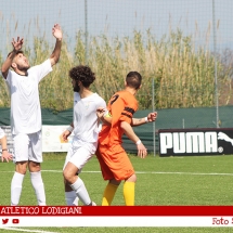 IMG_7505 IMG_7505