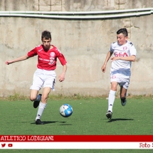 IMG_7506 IMG_7506