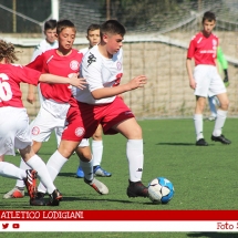 IMG_7508 IMG_7508