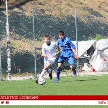 IMG_7509 IMG_7509