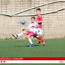 IMG_7509 IMG_7509
